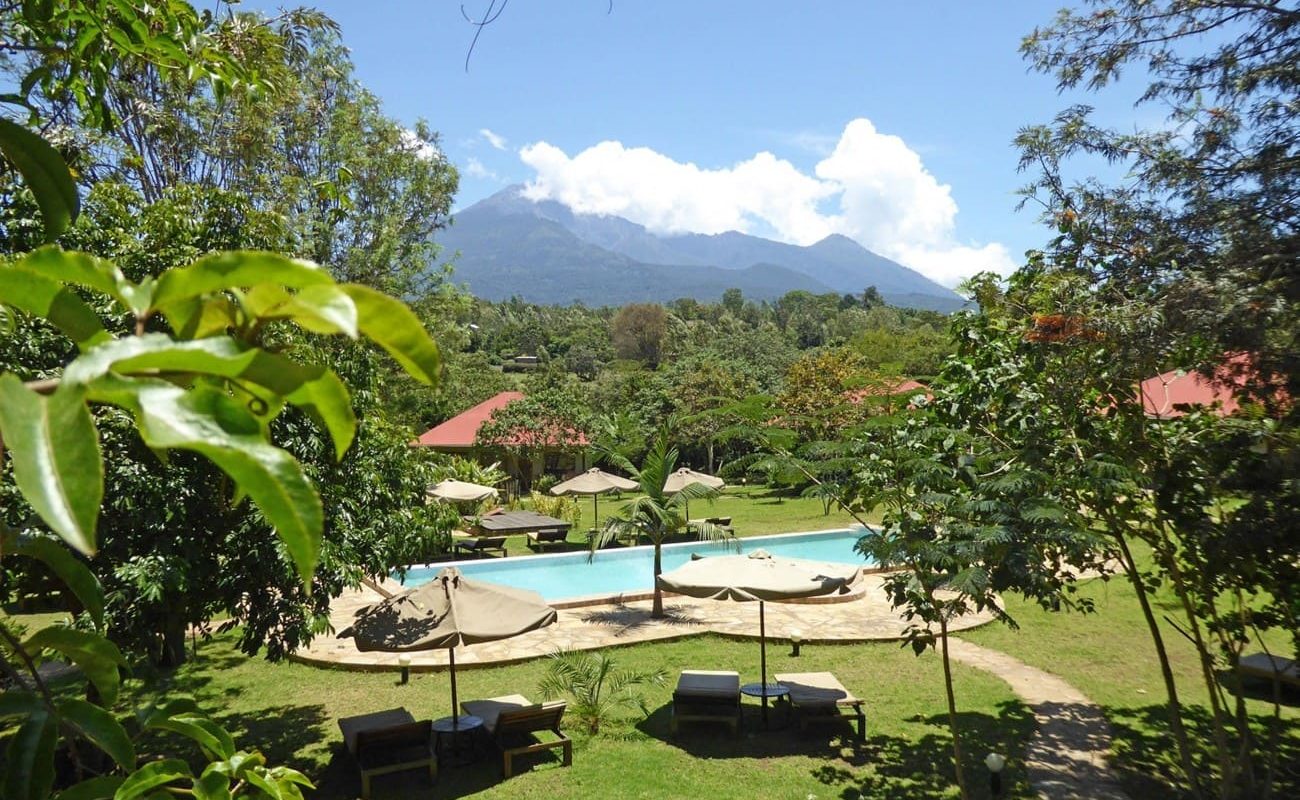 African View Lodge Garten und Pool Garten und Pool der African View Lodge