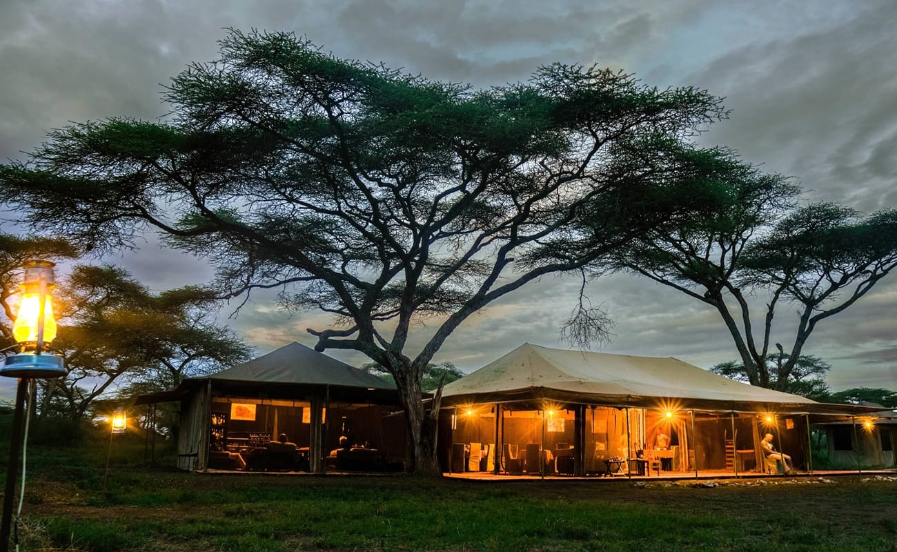 Angata Migration Camp Abendstimmung Abendstimmung im Ang'ata Migration Camp, Serengeti