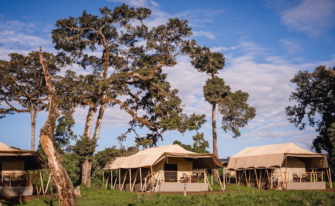 Blick auf die Zelte Ang'ata Ngorongoro Camp