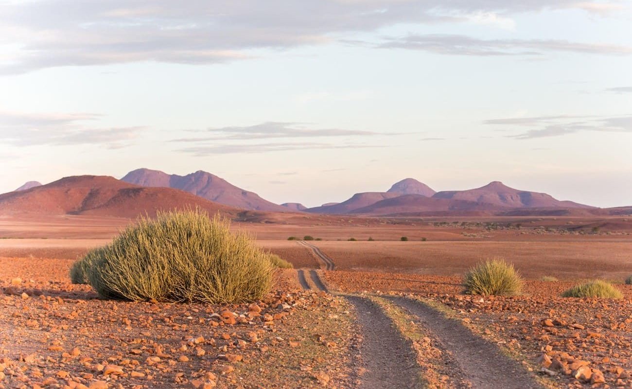 Desert Rhino Camp Landschaft Landschaft Damaraland Desert Rhino Camp
