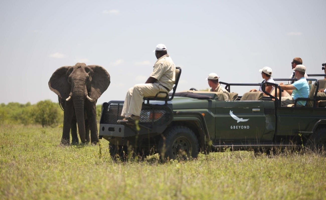 Pirschfahrt Ngala Private Game Reserve