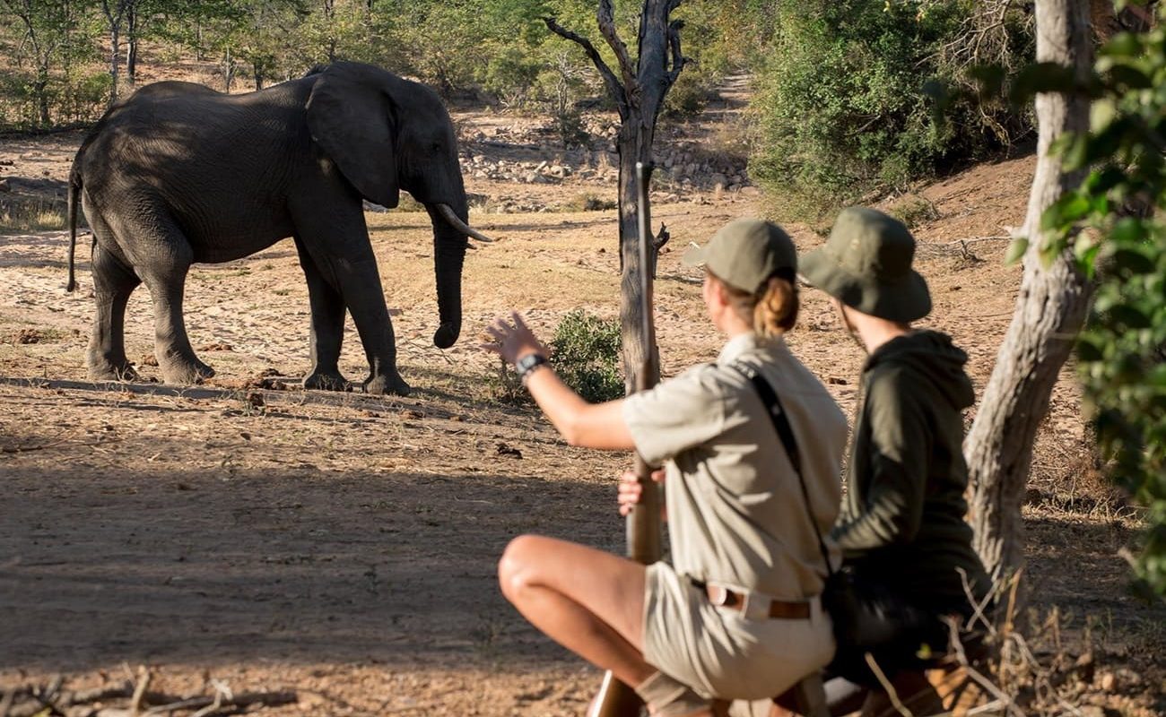 Pirschwanderung Ngala Private Game Reserve