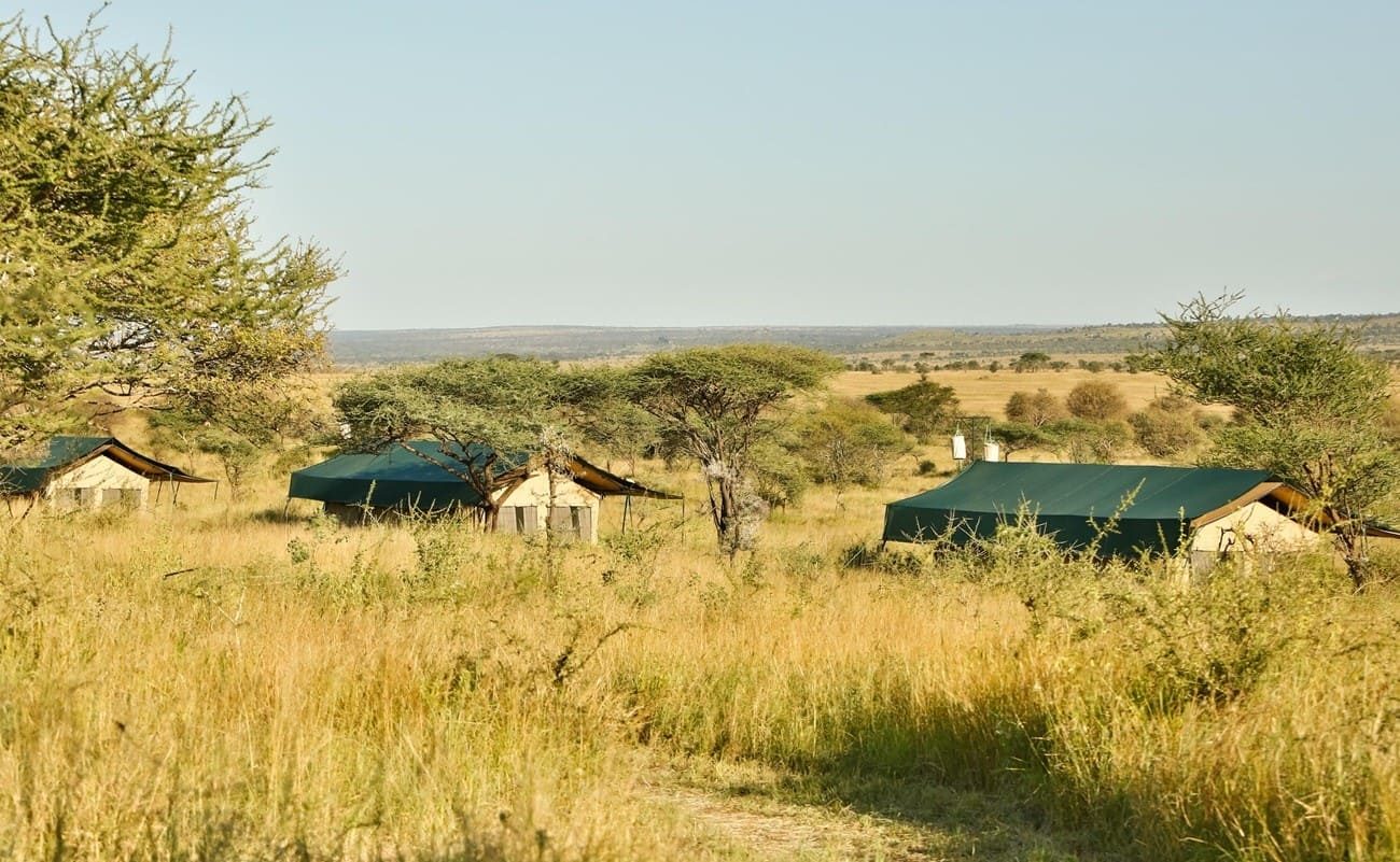 Nyikani Camp Central Serengeti Serengeti Nyikani Camp Central Serengeti