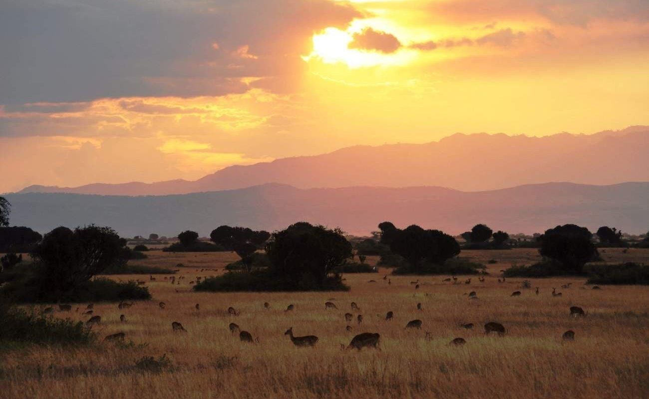 Privatsafari Uganda Murchinson Falls Queen Elizabeth Nationalpark Sonnenuntergang Sonnenuntergang im Queen Elizabeth