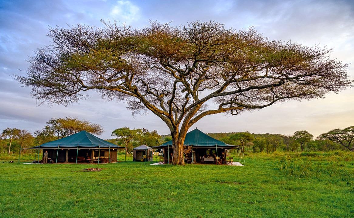 Seregenti View Camp Rongai Rongai Serengeti View Camp