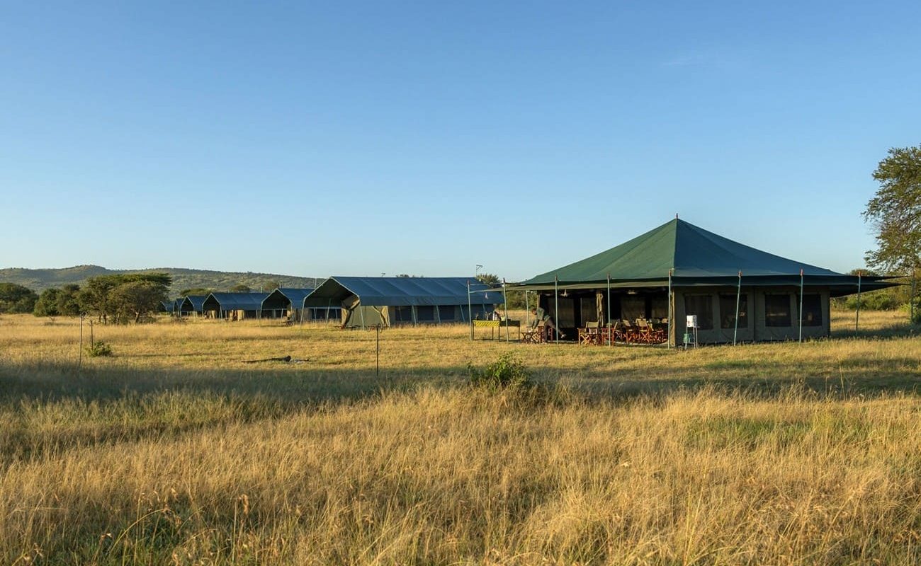Seregenti View Camp Togoro Serengeti View Camp Togoro