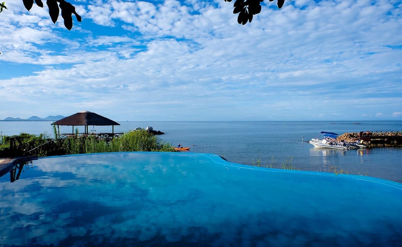 Infinity Pool Blue Zebra Island Lodge
