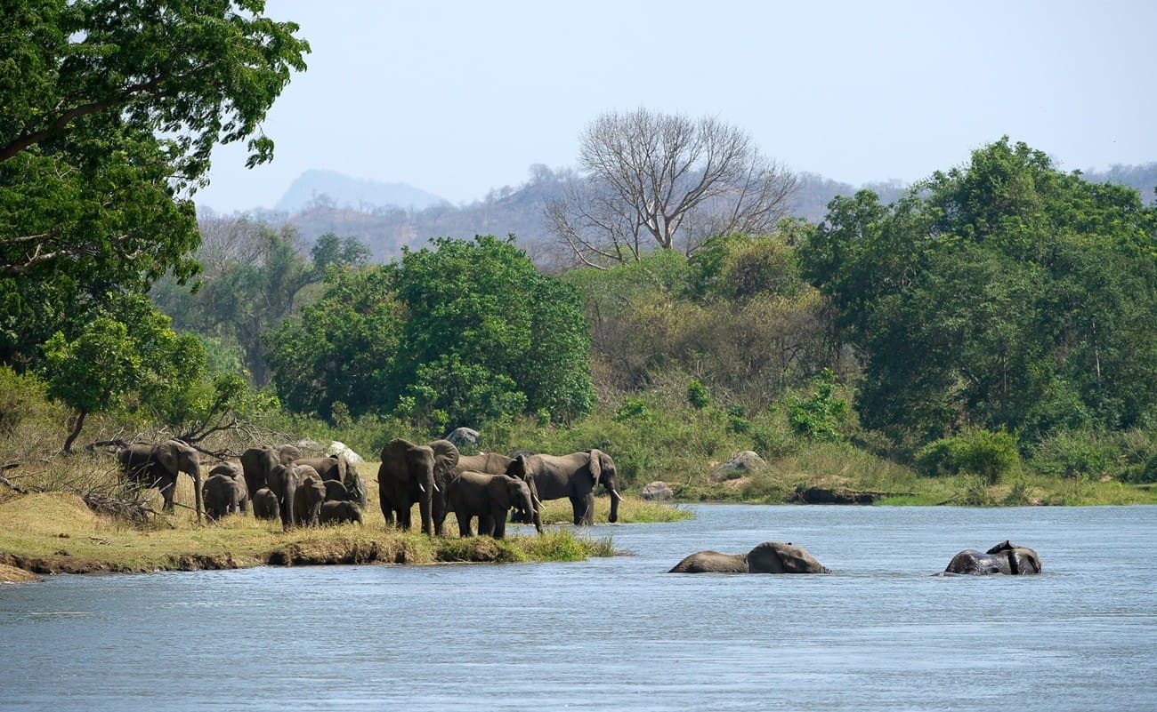Große Malawi Rundreise Majete Elefanten Fluss