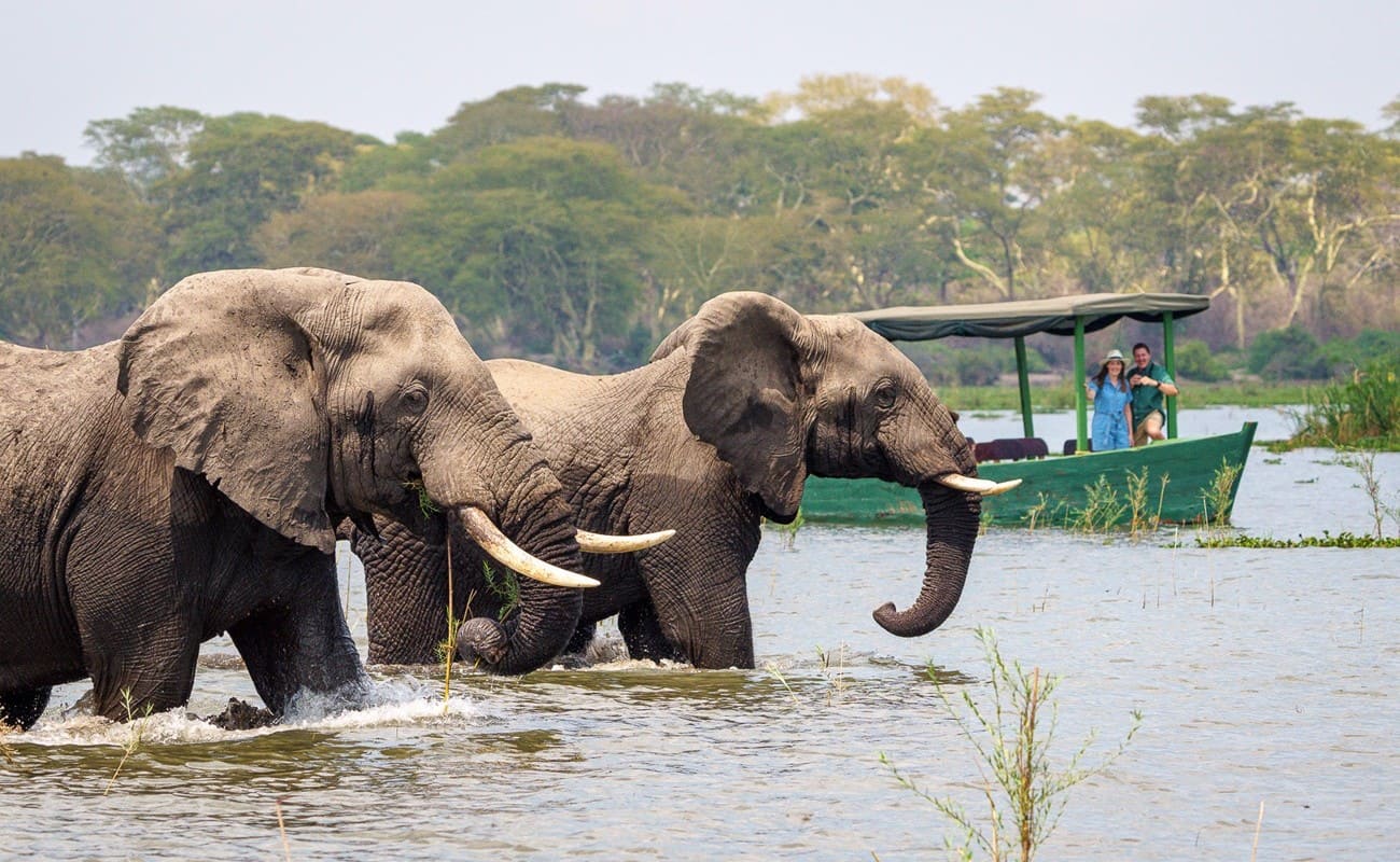 Malawi Süden Kuthengo Liwonde Bootstour Bootstour im Liwonde Nationalpark