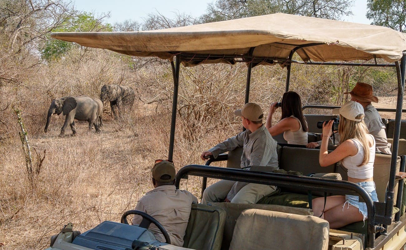 Malawi Süden Mkulumadzi Lodge Pirschfahrt Majete Pirschfahrt Majete Wildreservat