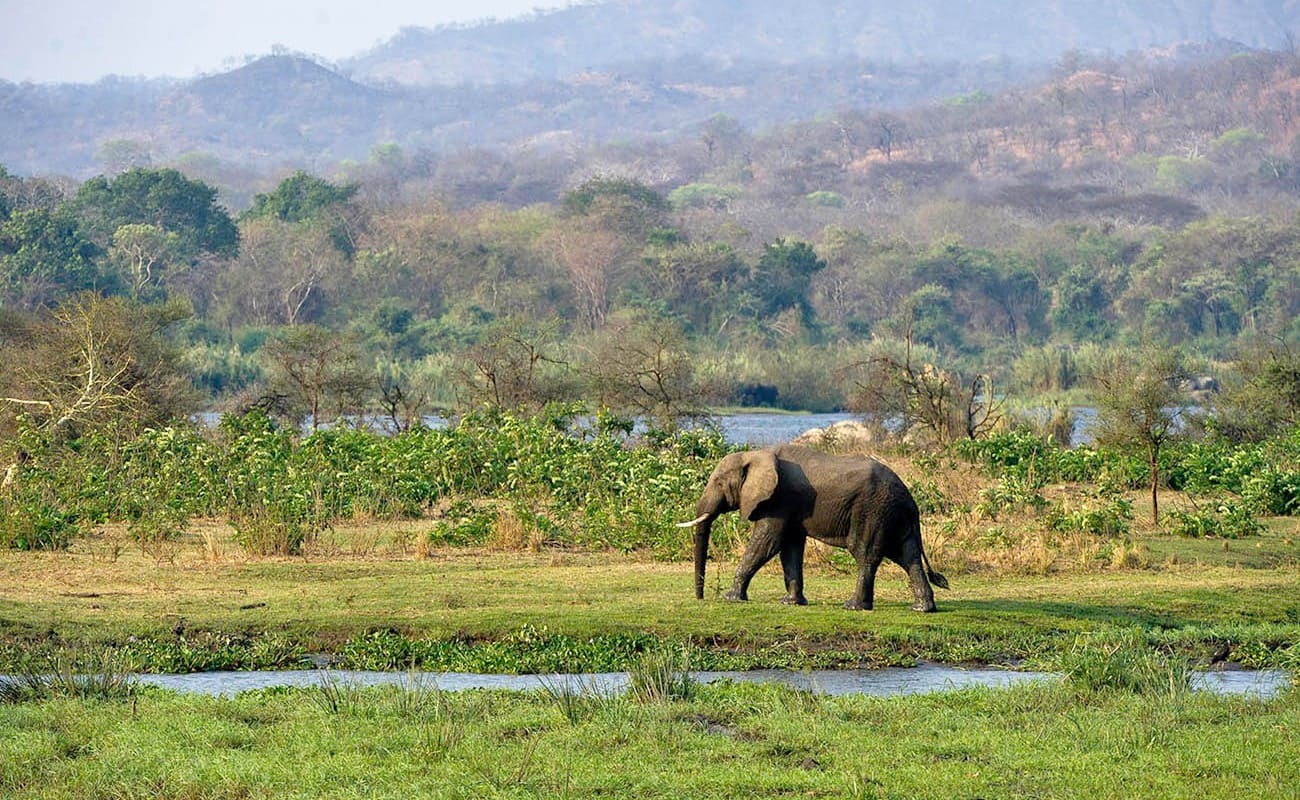 Im Majete Wildlife Reserve