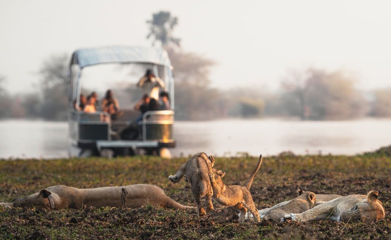Mvuu Lodge Bootssafari