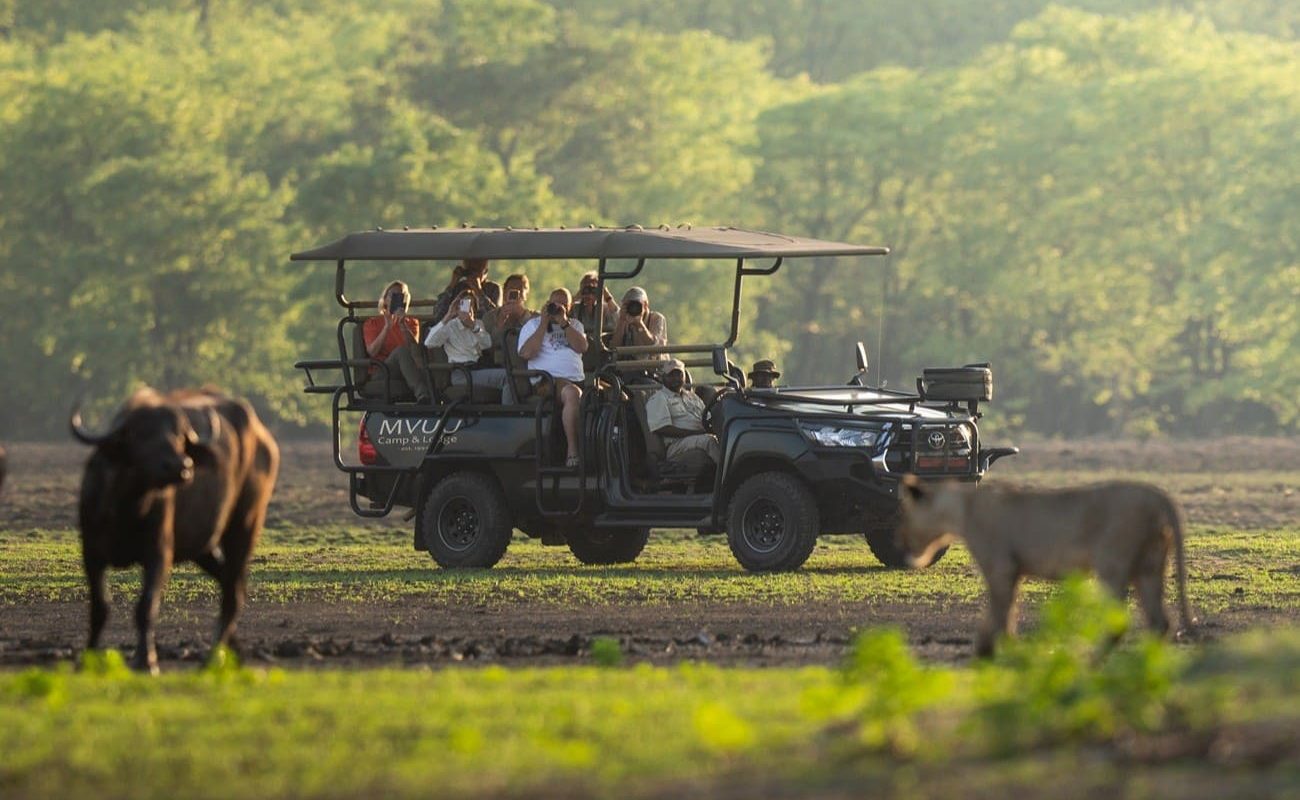 Mvuu Lodge Pirschfahrt Pirschfahrt Mvuu Lodge, Liwonde Nationalpark