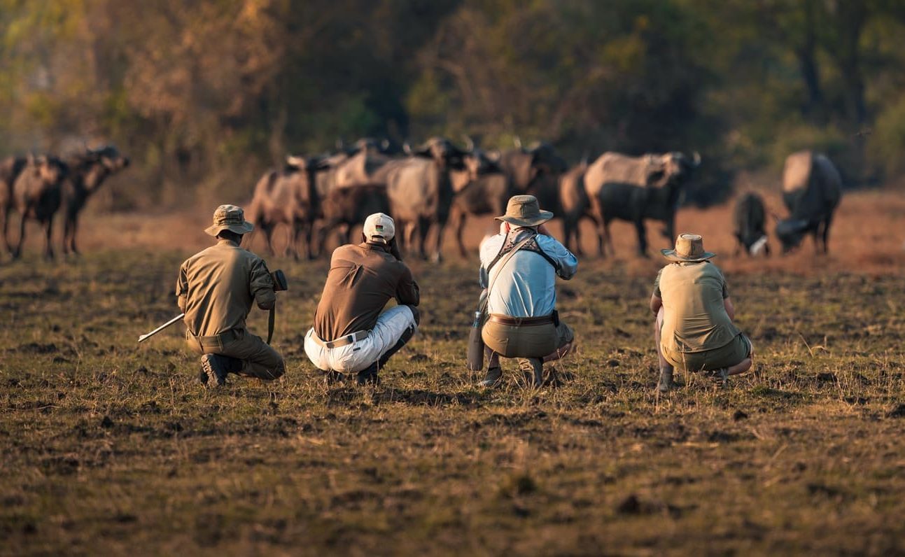Mvuu Lodge Walking Safari Walking Safari Mvuu Lodge, Liwonde Nationalpark
