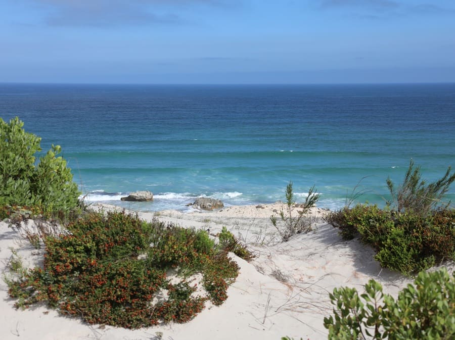 Strandurlaub im De Hoop Nature Reserve Südafrika