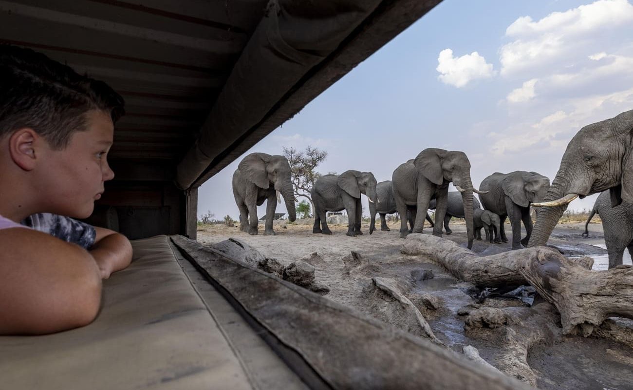 Elephant Pan Hide Hide von Elephant Pan Khwai Botswana