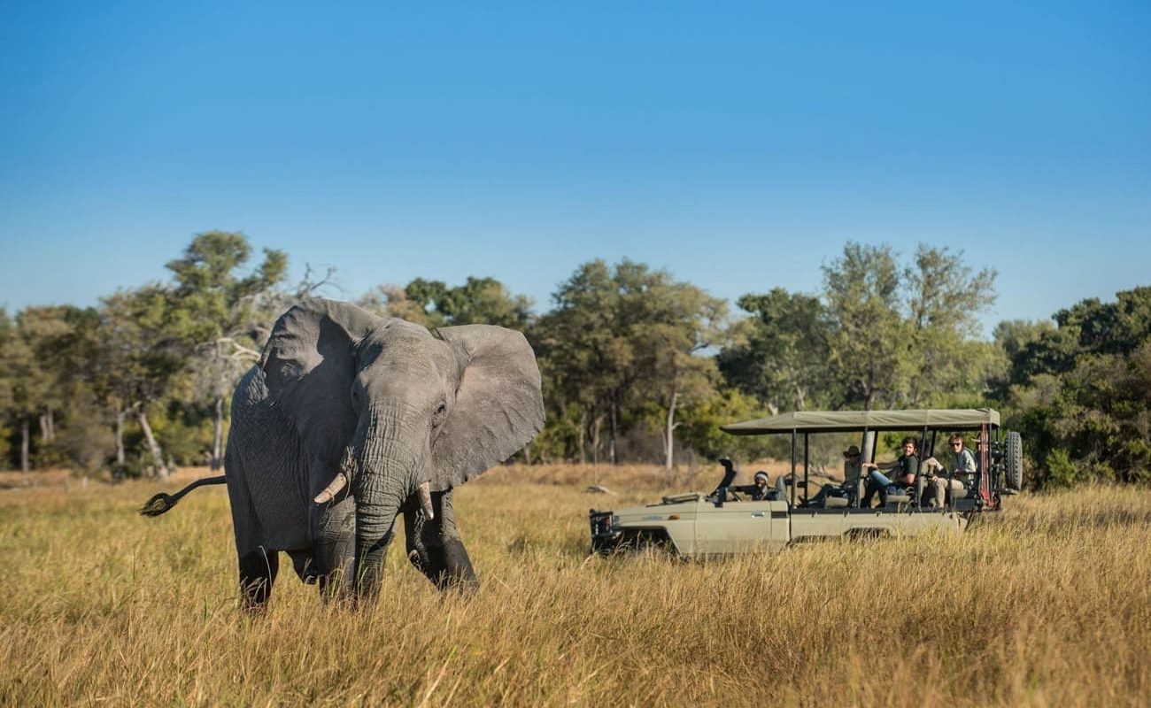 Elephant Pan Pirschfahrt Pirschfahrt in Elephant Pan