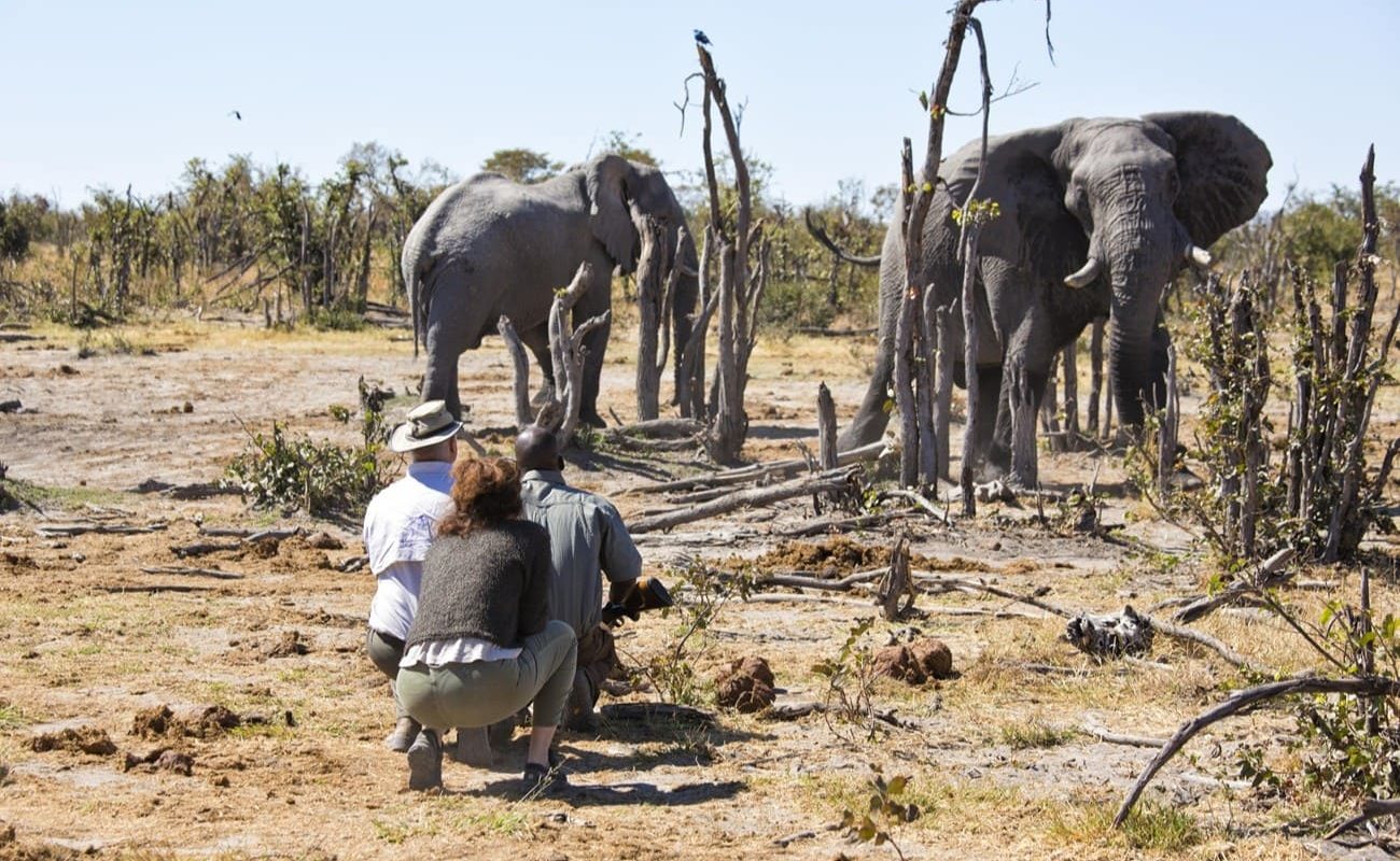 Elephant Pan Pirschwanderung Pirschwanderung in Elephant Pan