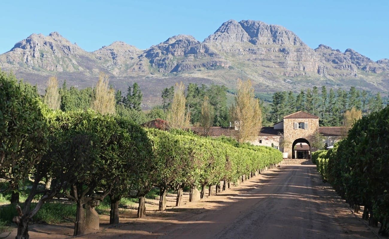 Krüger, Kapstadt, Winelands und Westküste Waterford Waterford - eines der modernen Weingüter der Winelands