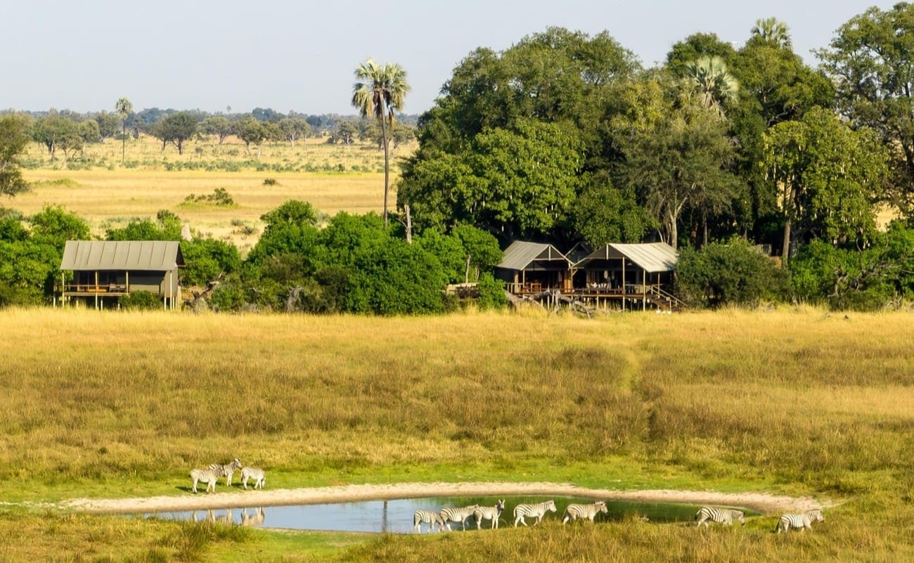 Mokolwane Wasserloch Wasserloch vor Mokolwane