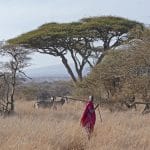 Walking Safaris in Afrika