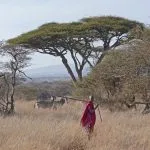 Walking Safaris in Afrika