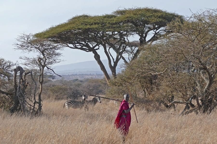 Walking Safaris in Afrika