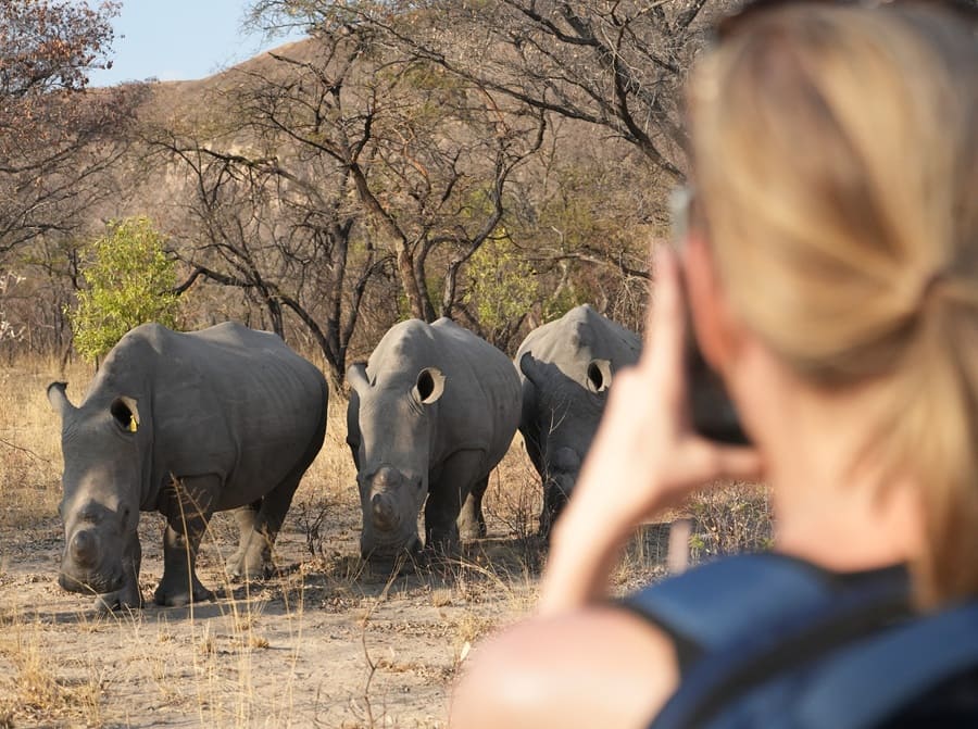 Rhino Trekking Foto Matobo Simbabwe