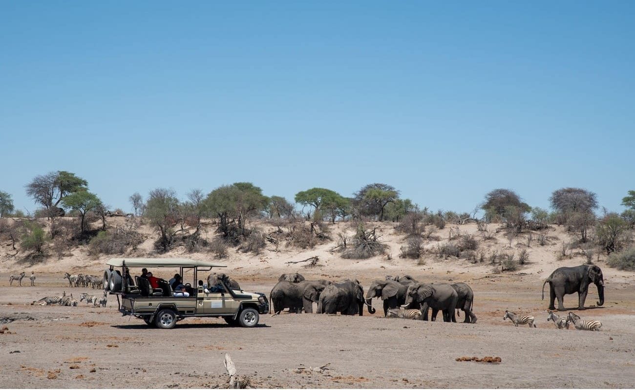 Meno a Kwena Pirschfahrt Pirschfahrt Meno a Kwena