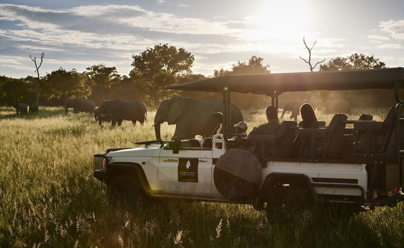 Sambia Botswana Luxussafari Chobe Pirschfahrt