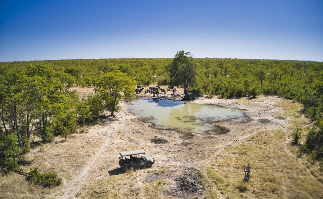 Authentisches Simbabwe Hwange Pirschfahrt (2) An einem Wasserloch im Hwange Nationalpark