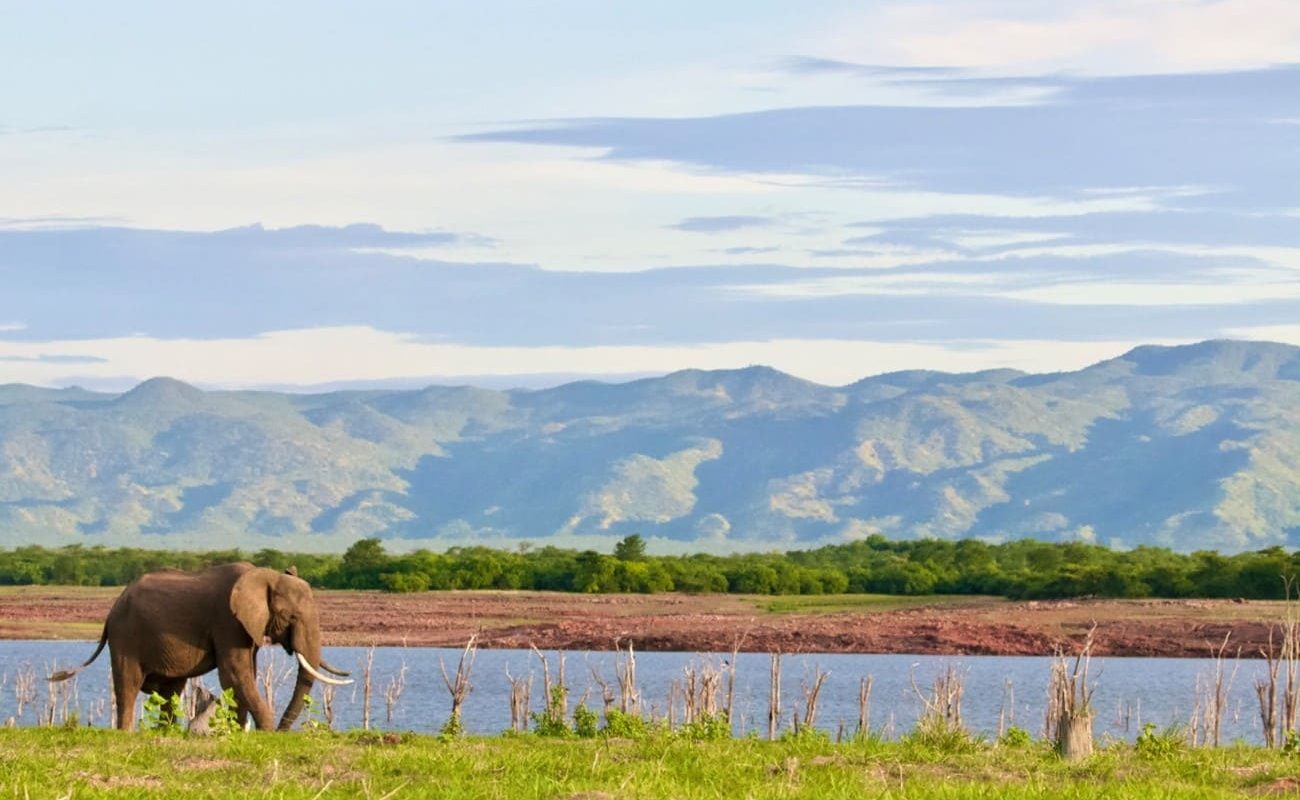 Authentisches Simbabwe Lake Kariba Die einzigartige Landschaft am Lake Kariba