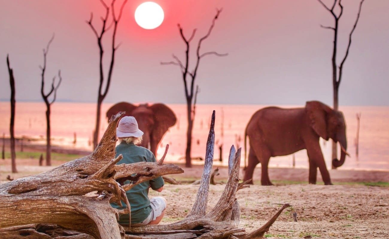 Authentisches Simbabwe Lake Kariba Sundowner Sundowner am Lake Kariba