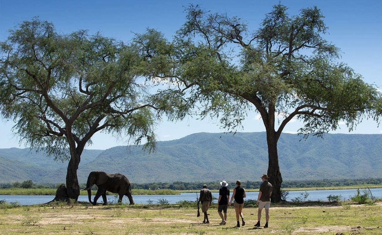 Authentisches Simbabwe Mana Pools Pirschwanderung Pirschwanderung Mana Pools