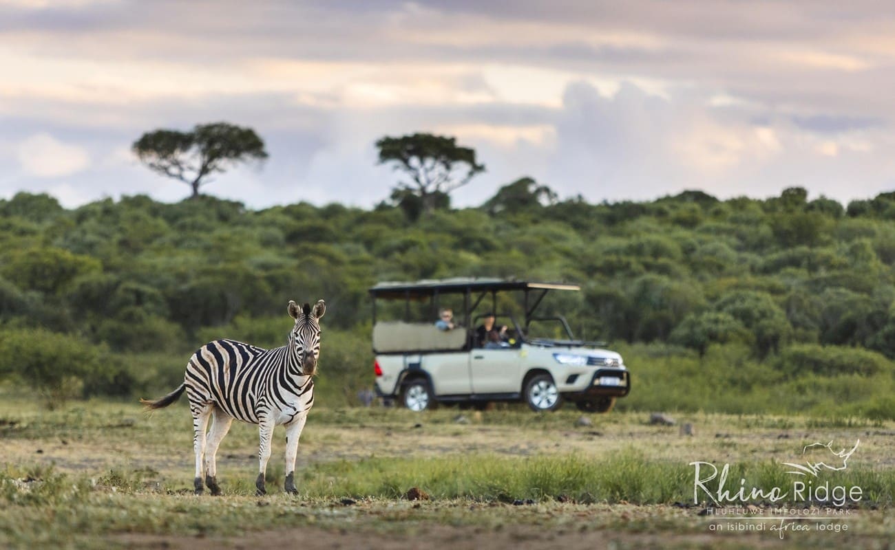 Pirschfahrt mit Rhino Ridge