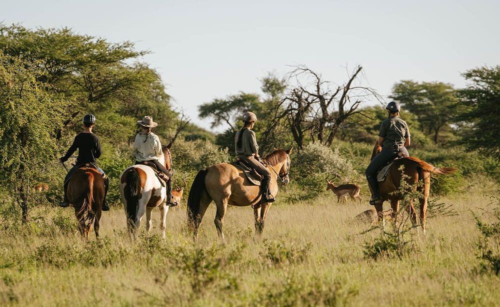 Reitsafari in Kambaku
