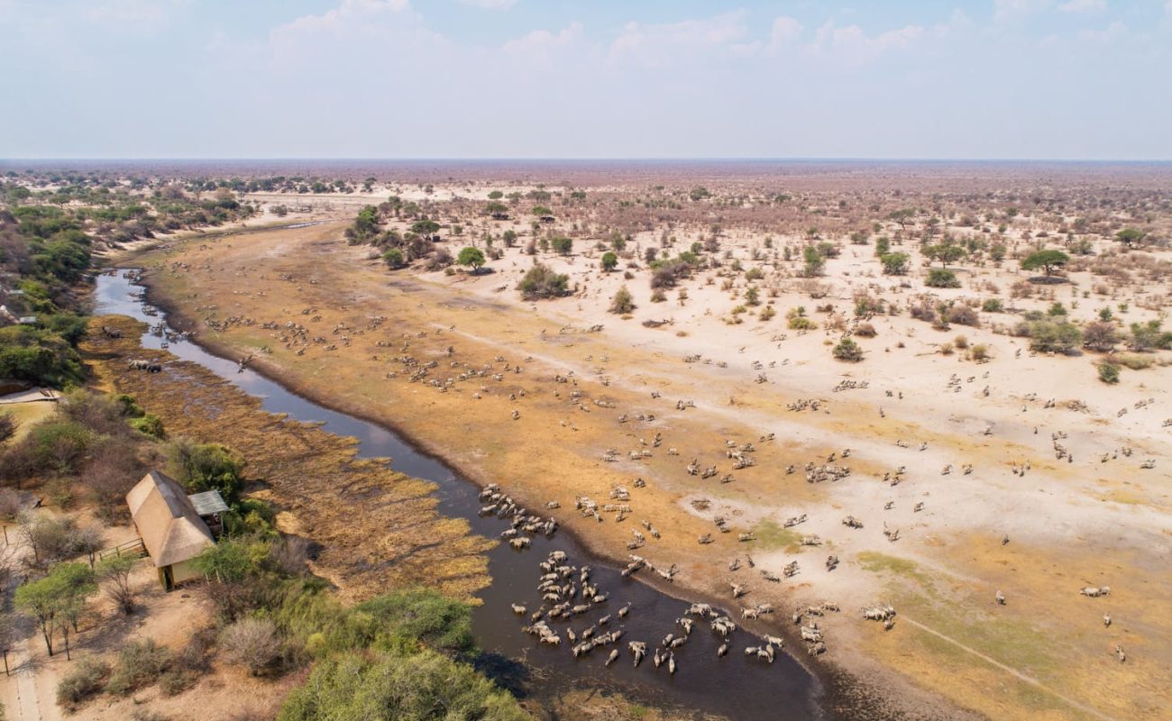 Die Landschaft am Boteti River