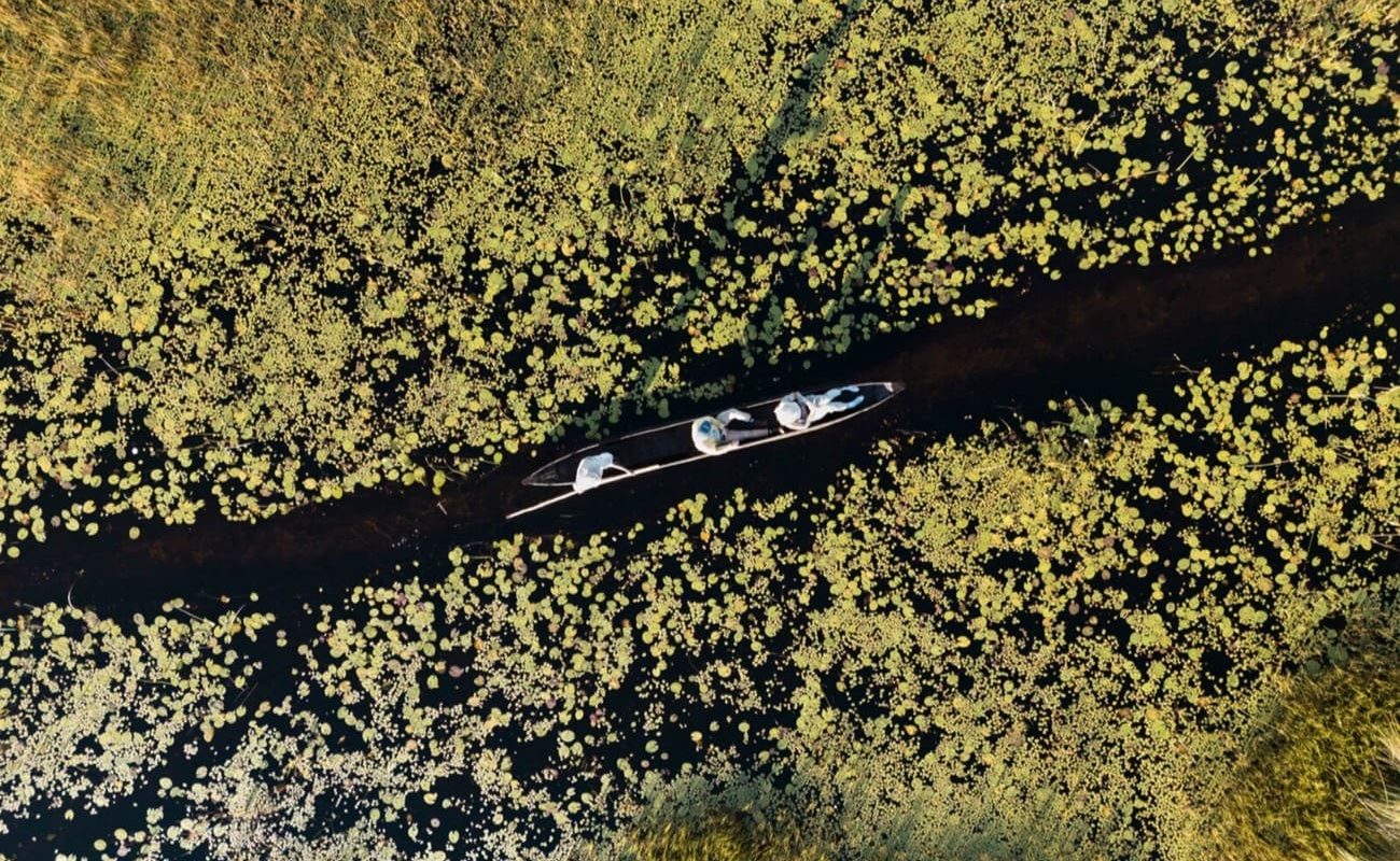 Die typische Landschaft des Okavango Deltas