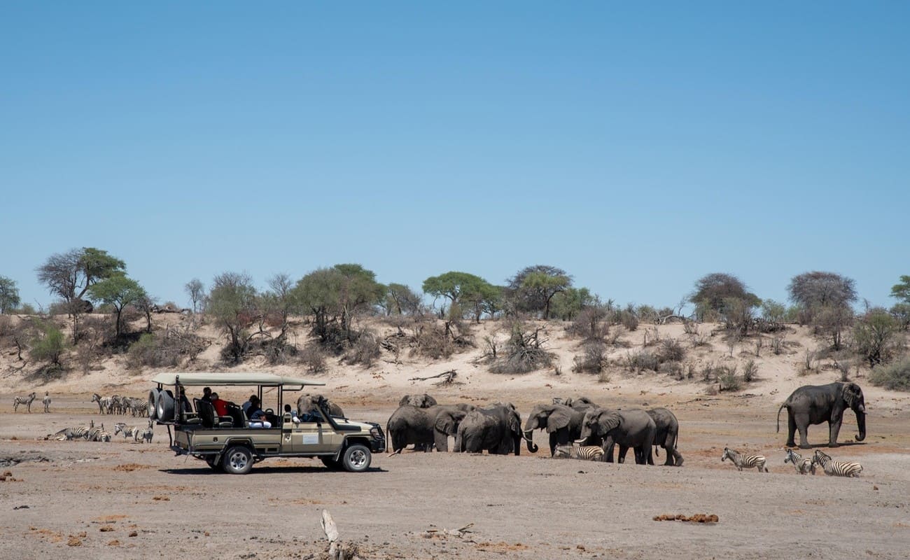 Elefantenherde bei Meno a Kwena