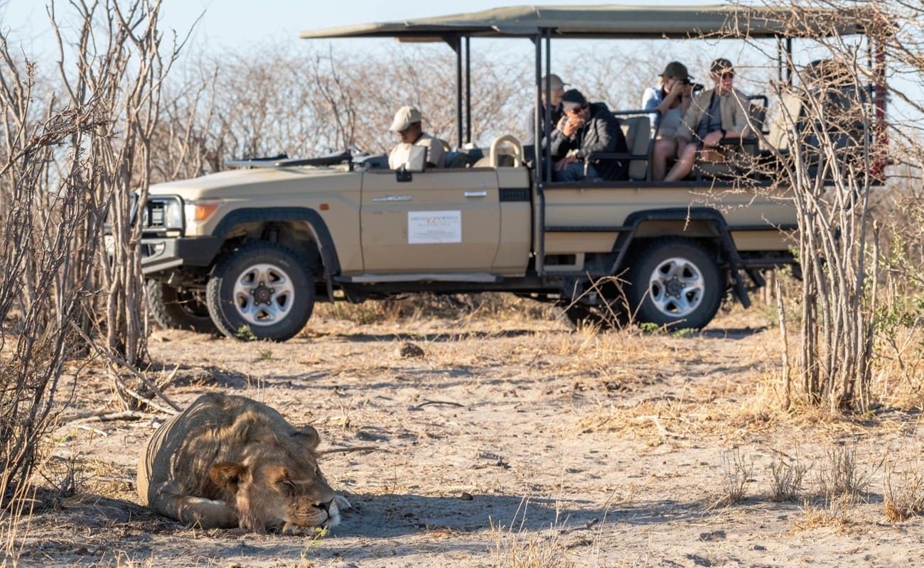 Pirschfahrt bei Meno a Kwena