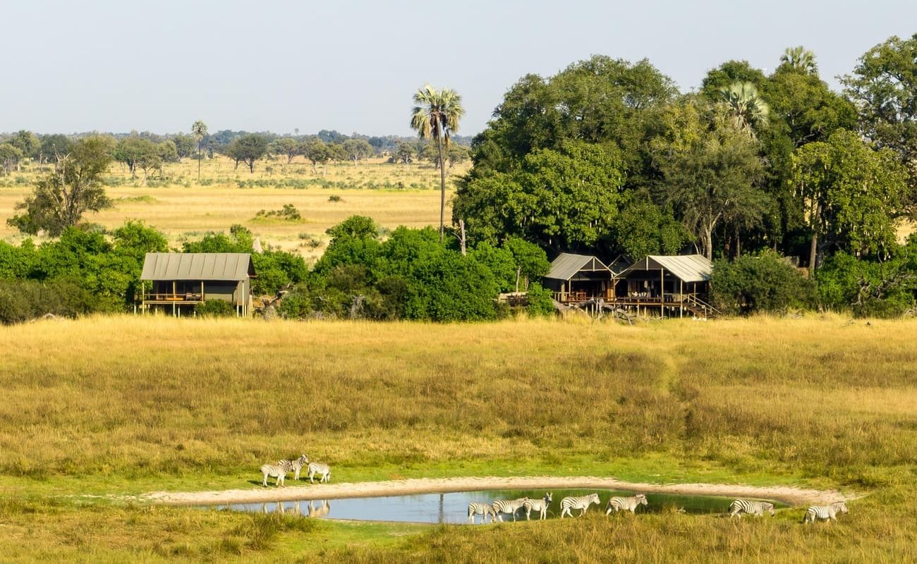 Tiere vor dem Mokolwane Camp