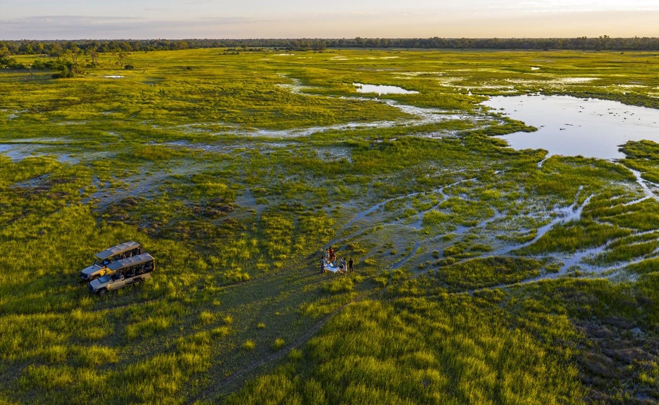 Die typische Landschaft der Okavango Deltas