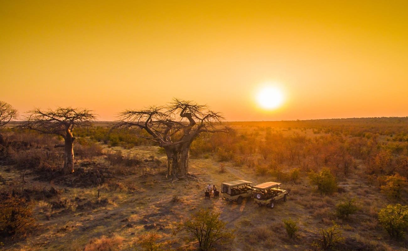 Sundowner mit Baobabs - Ghoha Hills Savuti Lodge