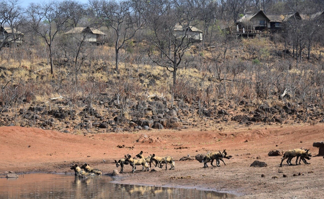 Wasserloch vor der Ghoha Hills Savuti Lodge