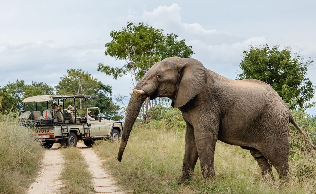 Pirschfahrt Tsowa Safari Island