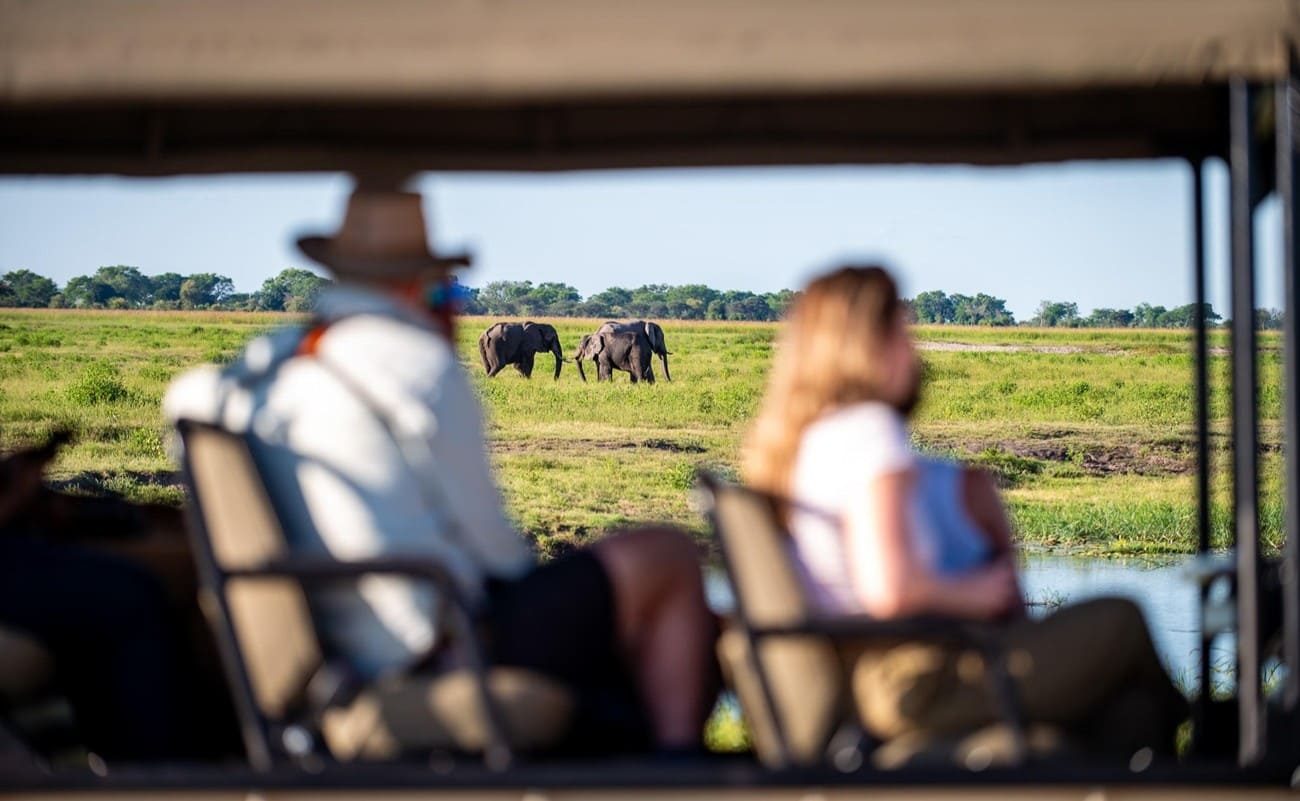 Pirschfahrt im Chobe Nationalpark