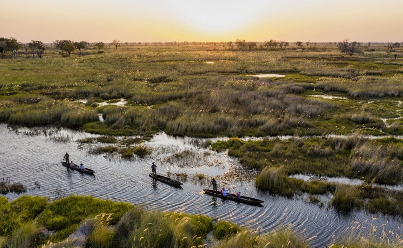 Fahrt im Mokoro durch das Okavango Delta