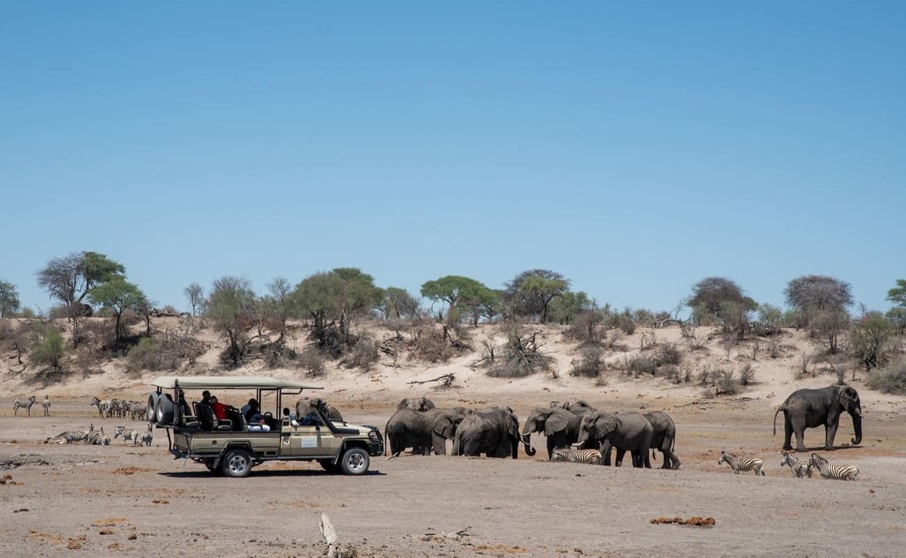 meno a kwena Makgadikgadi Elefanten