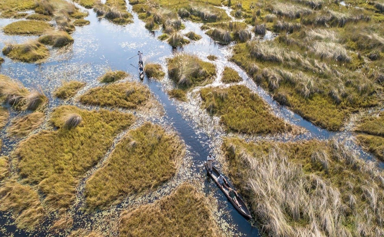Mokoro Tour im Okavango Delta nahe der Xugana Island Lodge
