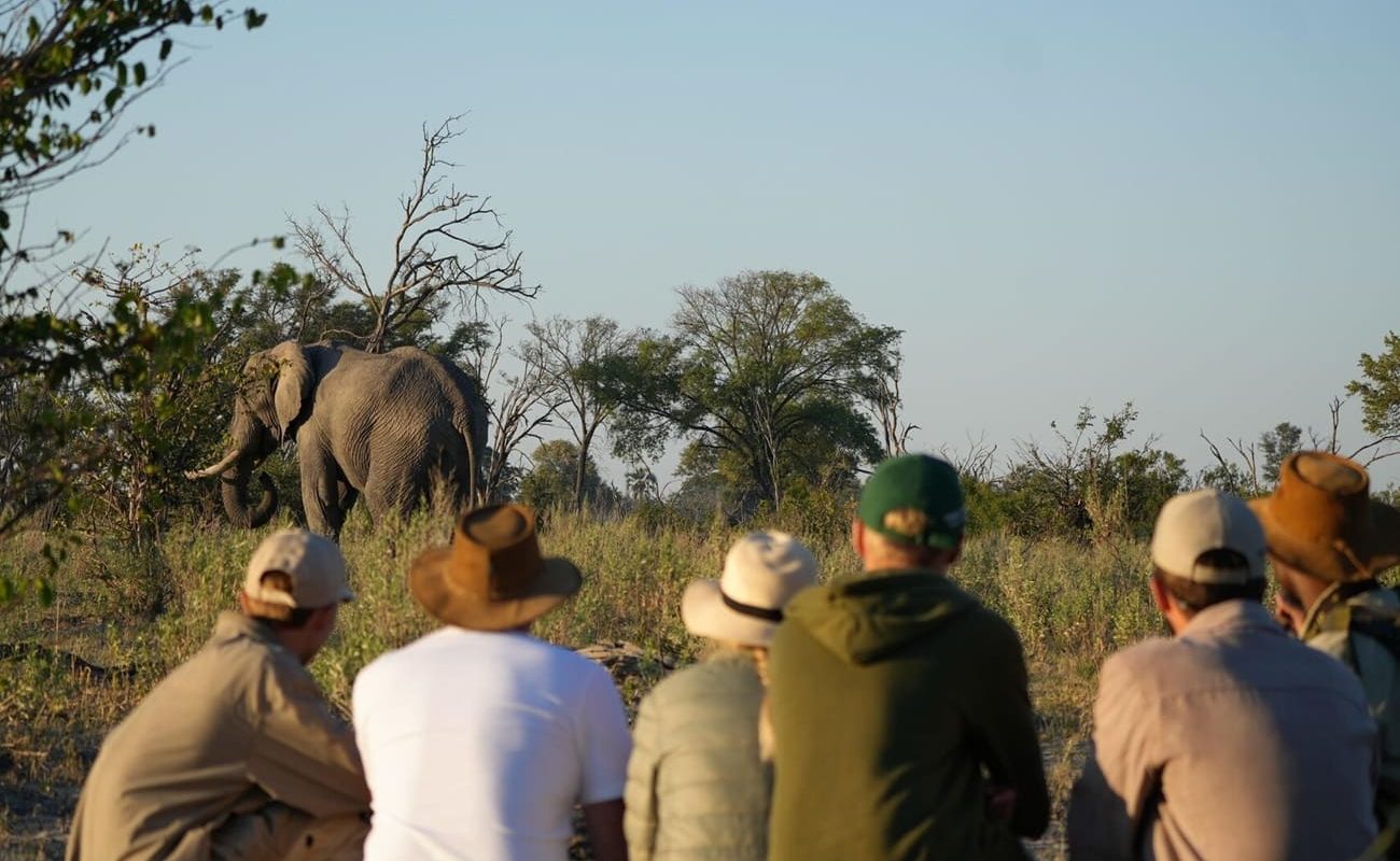Atzaro Okavango Walking Safari Walking Safari in Atzaro